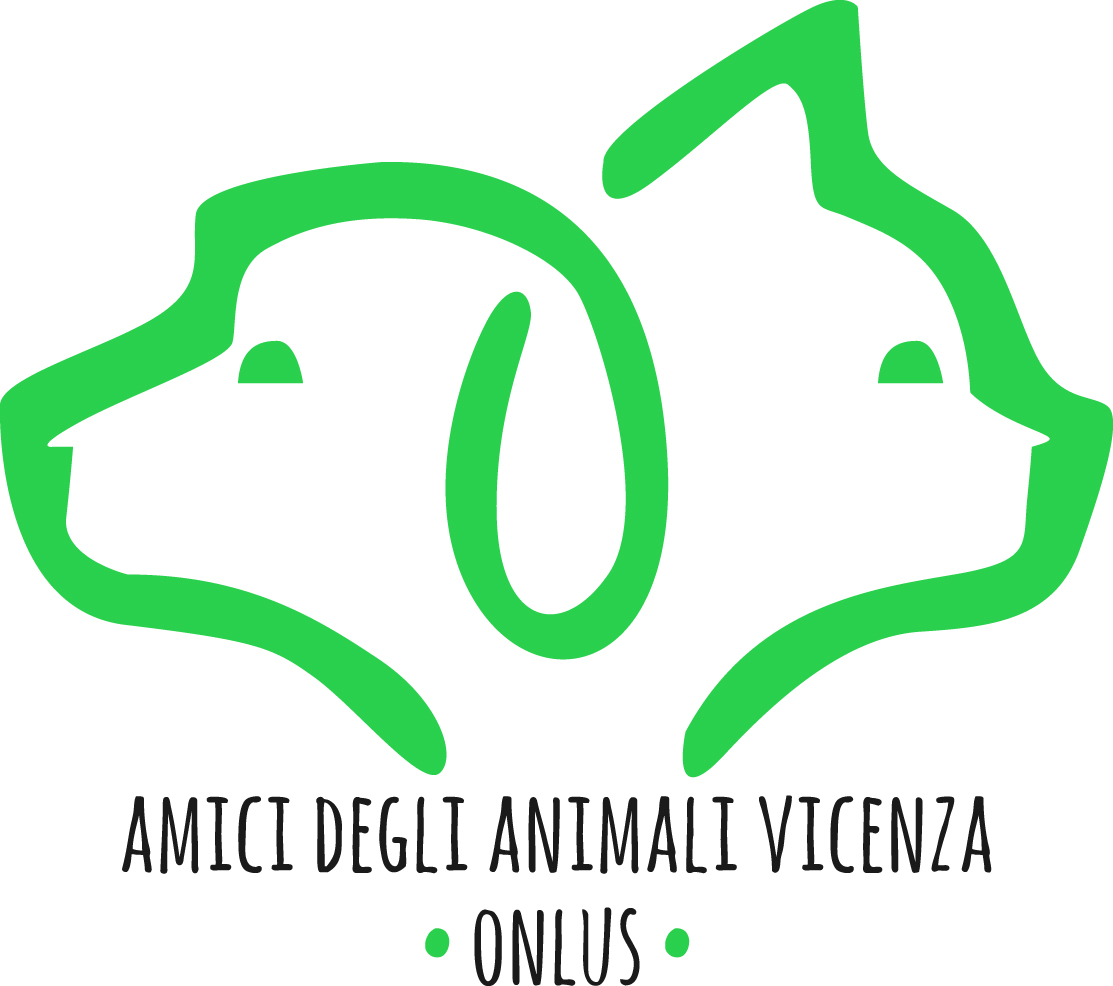 csv vicenza